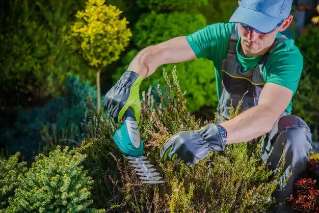 landscaping services Bedford Hills